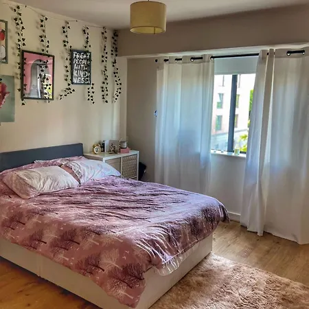 Apartment Cozy In A Quiet Area Dublin
